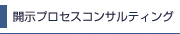 開示プロセスコンサルティング