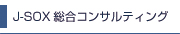 J-SOX総合コンサルティング