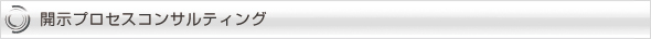 開示プロセスコンサルティング
