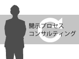 開示プロセスコンサルティング