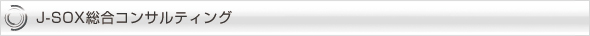 J-SOX総合コンサルティング